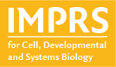 Good Scientific Practice for PhD students and Postdocs